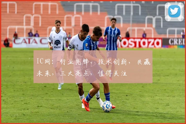IC网：行业先锋，技术创新，共赢未来，三大亮点，值得关注