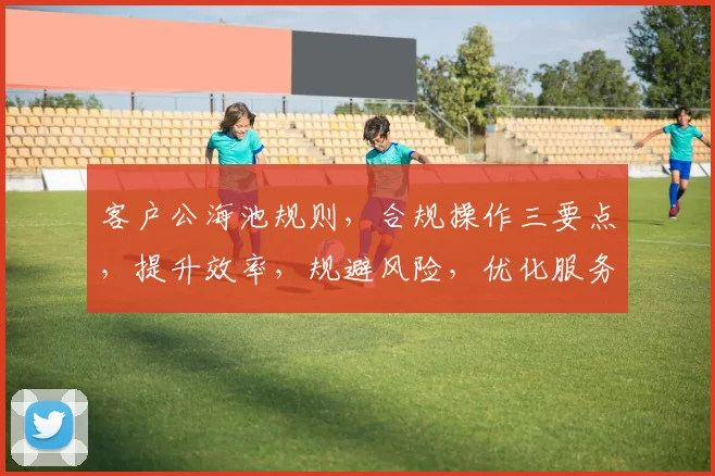 客户公海池规则，合规操作三要点，提升效率，规避风险，优化服务体验，助力企业发展。