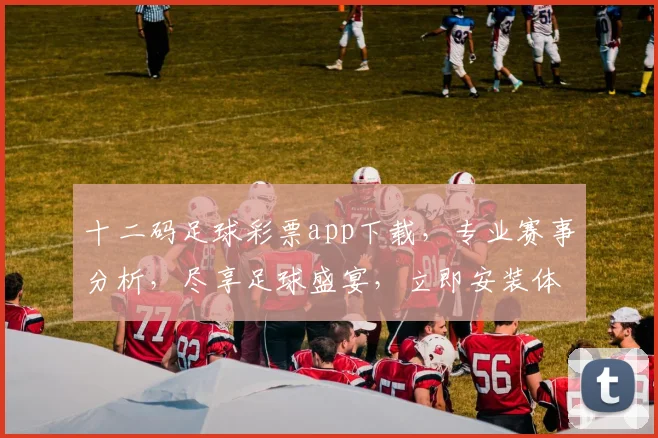 十二码足球彩票app下载，专业赛事分析，尽享足球盛宴，立即安装体验