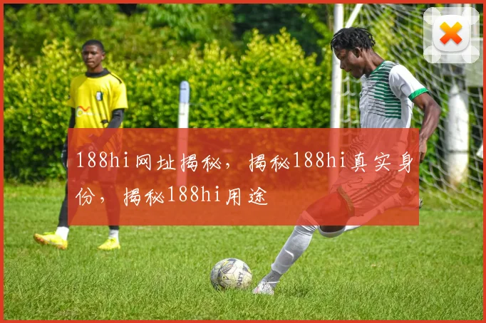 188hi网址揭秘，揭秘188hi真实身份，揭秘188hi用途
