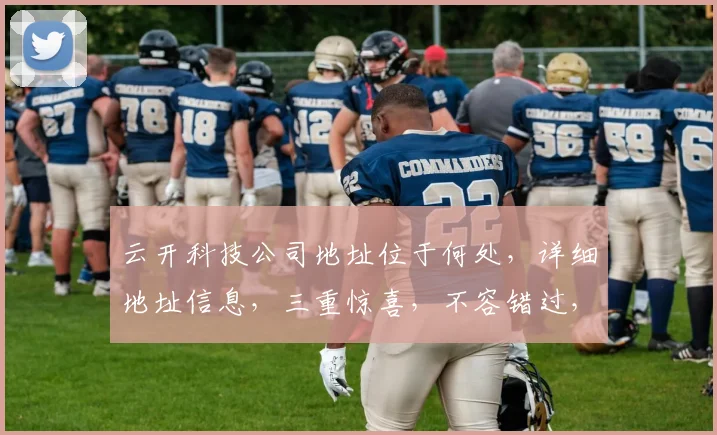 云开科技公司地址位于何处，详细地址信息，三重惊喜，不容错过，速来查阅